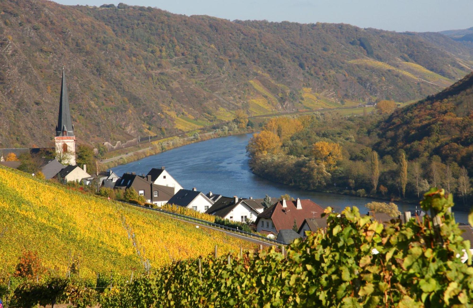 Weinhotel Hubertus Garni Klotten Exteriör bild