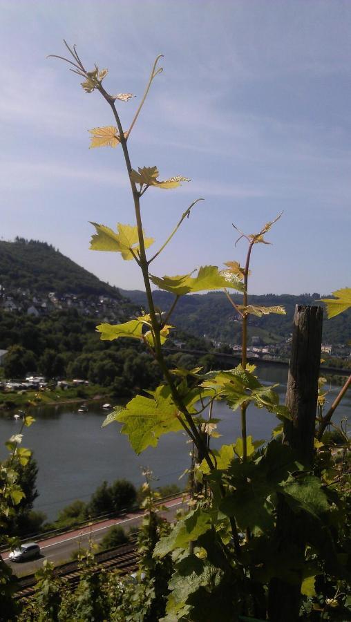 Weinhotel Hubertus Garni Klotten Exteriör bild