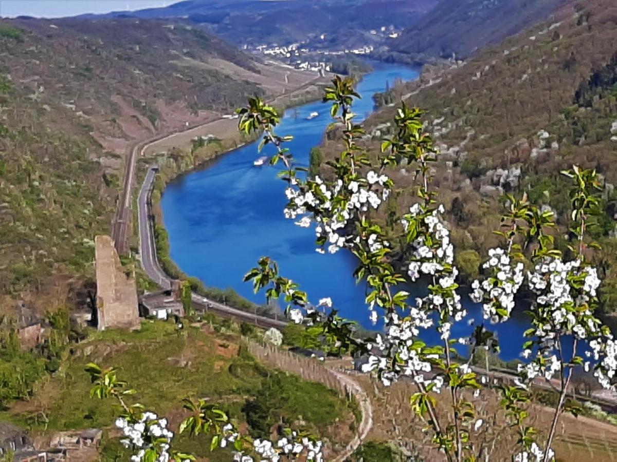 Weinhotel Hubertus Garni Klotten Exteriör bild